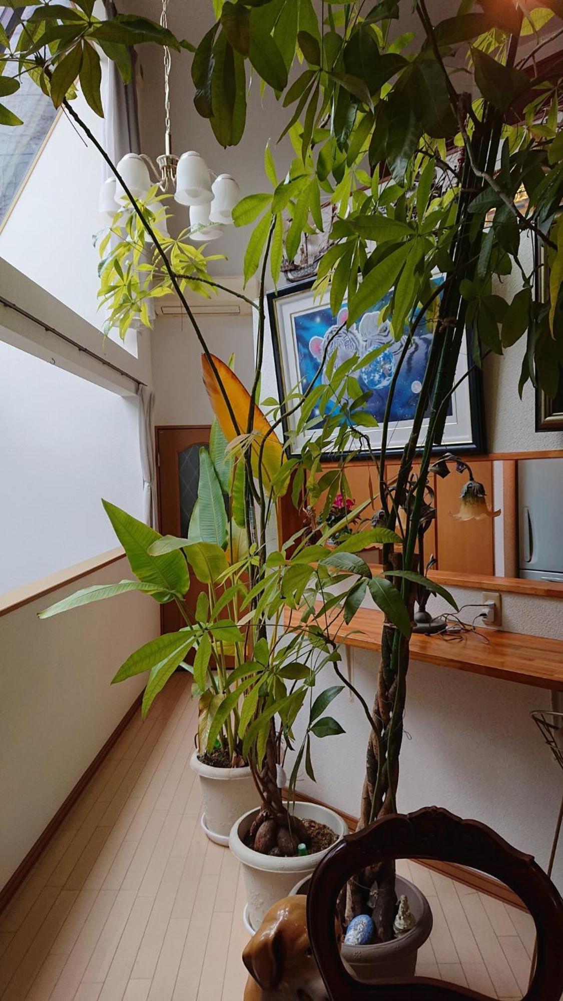 Affittacamere Setagaya-ku - House - Vacation 17812 Tokyo